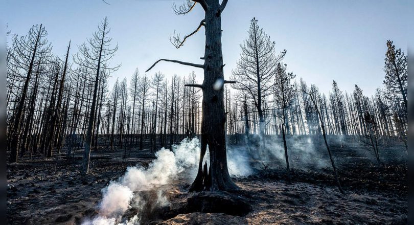 Western Wildfires grow, but the weather is better to help the crew