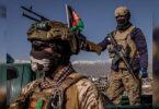 Al-Qaida is present at least 15 Afghan Provinces: Reports