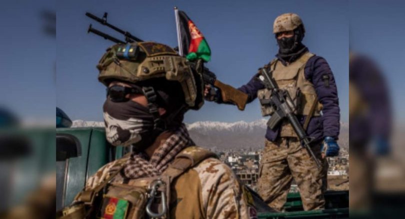 Al-Qaida is present at least 15 Afghan Provinces: Reports