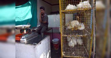 HC: Fundamental Rights Fundamental Equipment