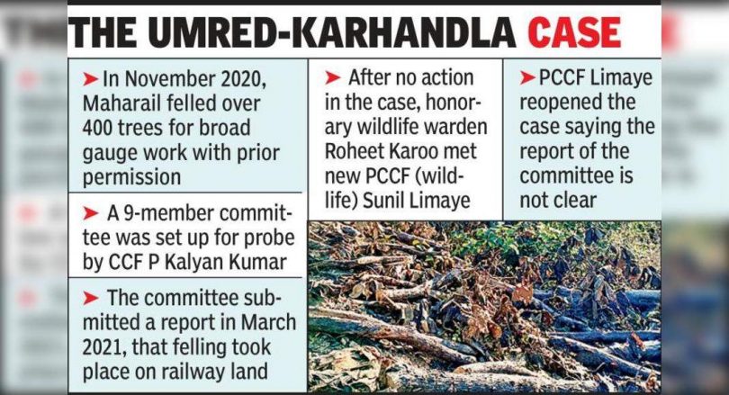 PCCF reopens a tree logging case, look for reports in 15 days