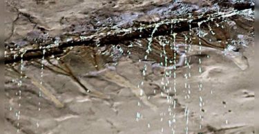 Underpass in Delhi does not need to rain