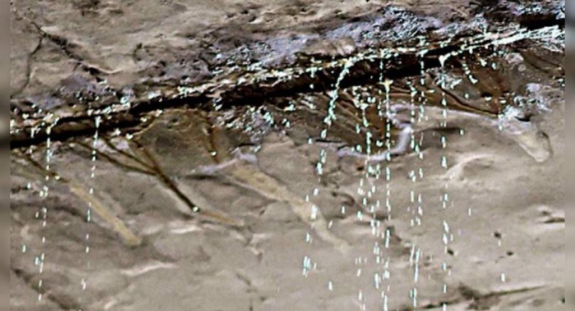 Underpass in Delhi does not need to rain