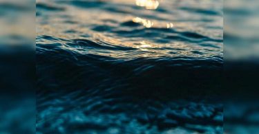 Odisha Govt intends to promote brackish water aquaculture