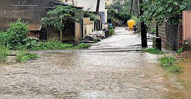 Karnataka: 84 houses in Haveri were damaged due to heavy rainfall; Plants in Davanagere are destroyed