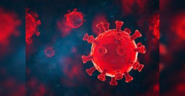 2 more positive tests for Zika in Kerala; Total now 46.