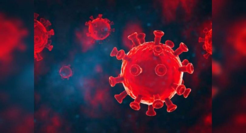 2 more positive tests for Zika in Kerala; Total now 46.