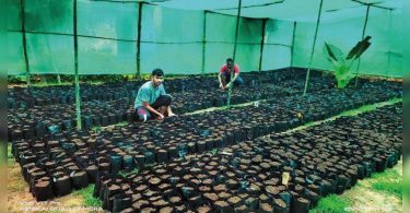 The police returned the future of Agri Tribals in Maoist-hit G'chiroli