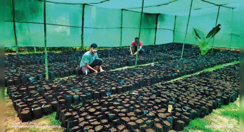 The police returned the future of Agri Tribals in Maoist-hit G'chiroli