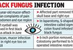 The doctor detected the mucor on the human intestine during a relapse operation