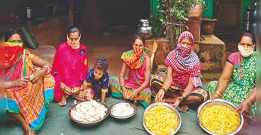 Odisha to promote naughty cultivation and processing