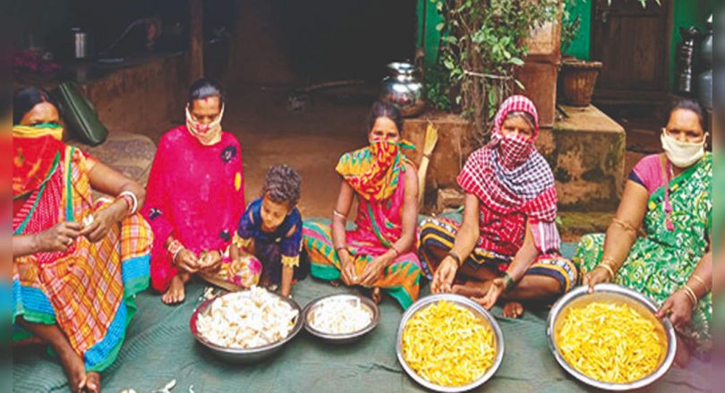 Odisha to promote naughty cultivation and processing