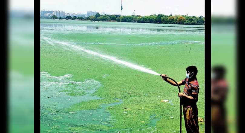 Mosquito Dengue breed in HYD, fear of weaving