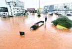 MAHA: Floods cause plant losses at 1.5L hectares