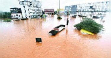 MAHA: Floods cause plant losses at 1.5L hectares