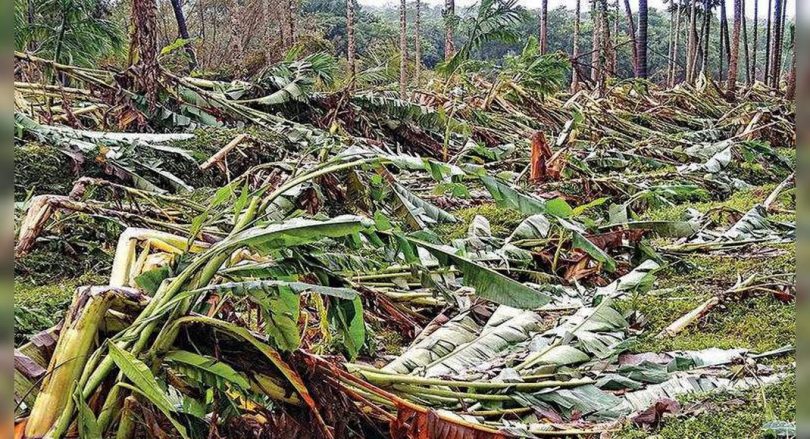 Goa: Emergency personnel in a hurry to clean down trees, road beams
