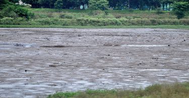 BBMP spends lakh on the lake without supervision