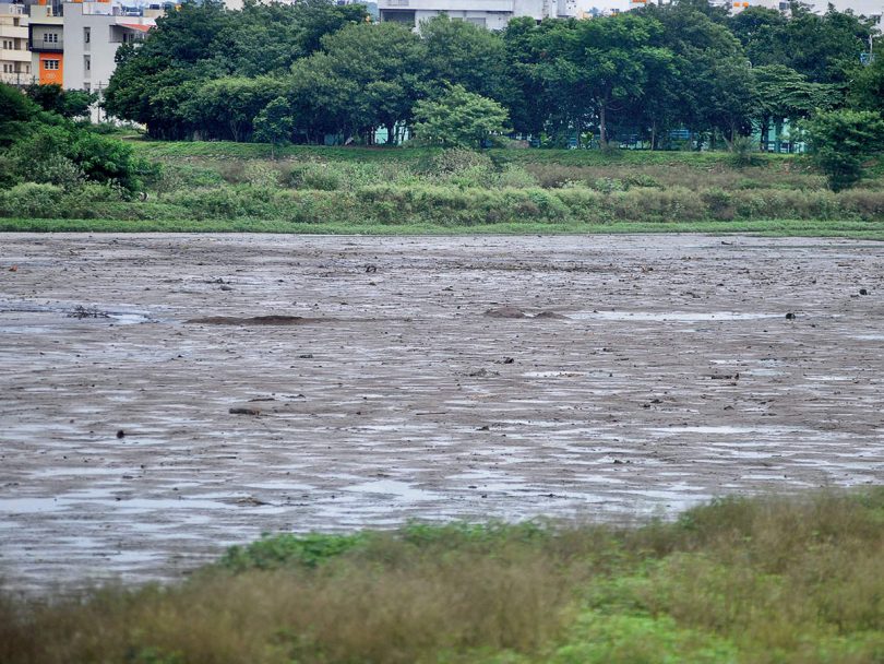 BBMP spends lakh on the lake without supervision
