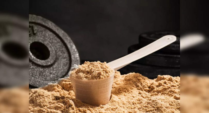 Do you need protein to build muscle?