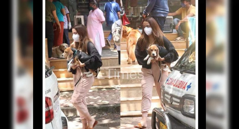 Varun Natasha's wife clicked with Joey