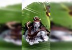 AU students change banana leaves to the canvas in Prayagraj