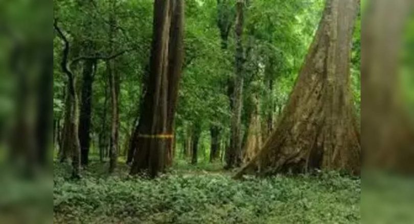 Indian green mission falls 30% of the shortage of target