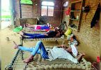 Virus fever in the West killed 50 in a week, 26 children