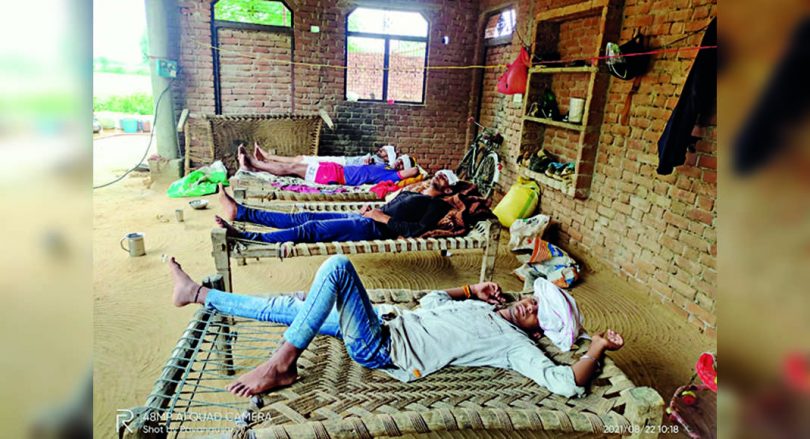 Virus fever in the West killed 50 in a week, 26 children