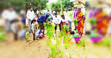 Residents of Bengaluru Paddy As Roadutare Slushy