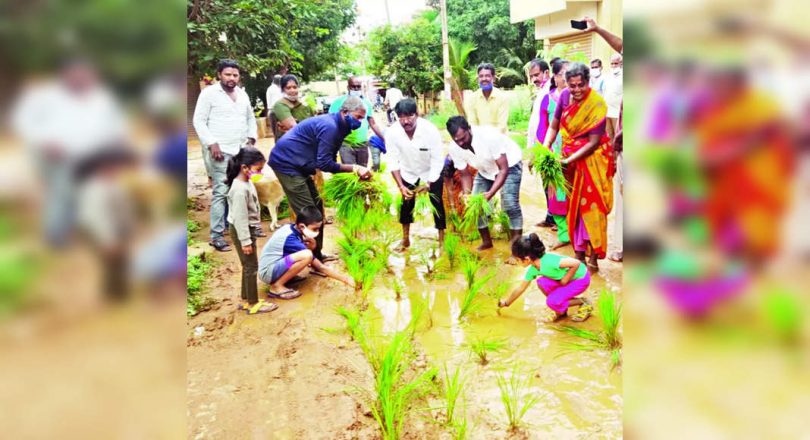 Residents of Bengaluru Paddy As Roadutare Slushy
