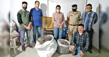 Humans are held to sell sea fans, 862 corals are confiscated