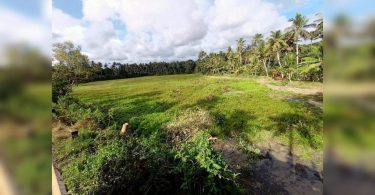 Water body to get a facelift