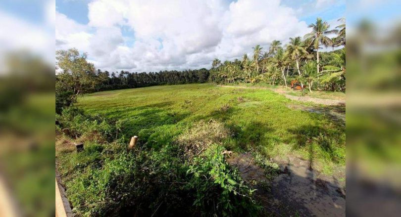 Water body to get a facelift