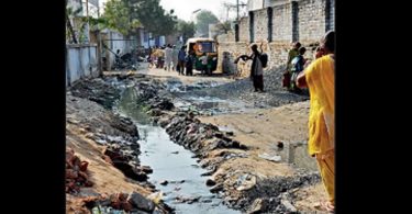 'Den-v2 dengue dominant in Gujarat'