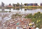 50 pools are cleaned, the bigger Civic Noida body targets 94 more in October