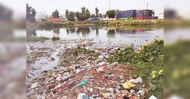 50 pools are cleaned, the bigger Civic Noida body targets 94 more in October