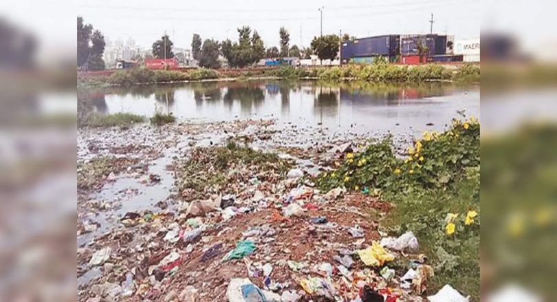 50 pools are cleaned, the bigger Civic Noida body targets 94 more in October