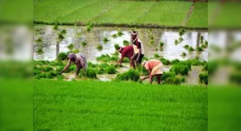 Ensure the fertilizer supply on time: TN min