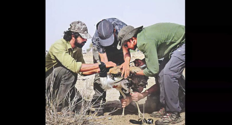 8 gibs tagged satellites take wings in Jaisalmer
