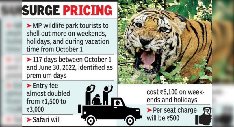 Tiger tourism is more expensive in MP on 'Premium Day'