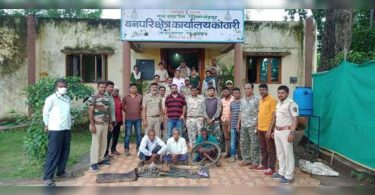 16 tiger bones again, the mustache was confiscated near Kanhargaon; 3 owned
