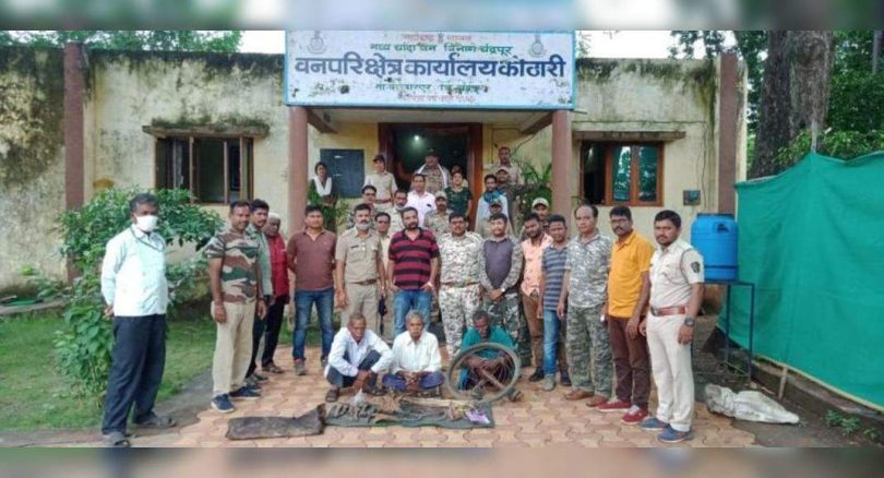 16 tiger bones again, the mustache was confiscated near Kanhargaon; 3 owned