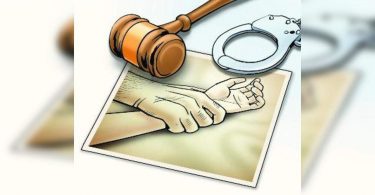 Humans get a 20-year prison for a small rape of KIN