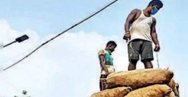 Revised rules help reduce excess trucks on the road