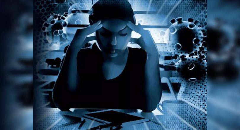 More students roam into mental health startups