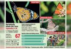 Focus on winged friends: hotspots every few km in Delhi