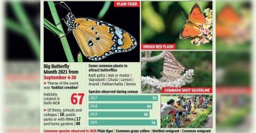 Focus on winged friends: hotspots every few km in Delhi