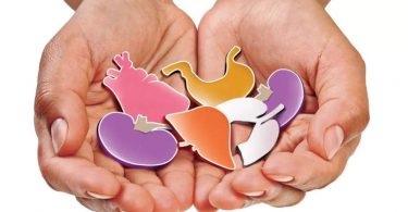 Organs of 2 friends die brain save the lives of many patients