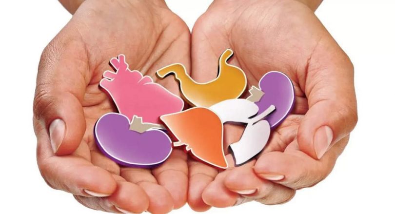 Organs of 2 friends die brain save the lives of many patients