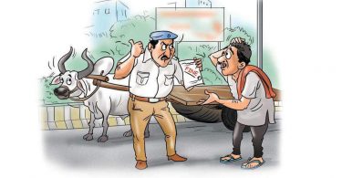 Cow on the roadside, owner booked for violations at Ahmedabad